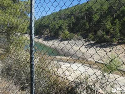 embalse de La Jarosa - Bosque Plateado  peso maximo mochila montaña arbol el tejo club de senderismo